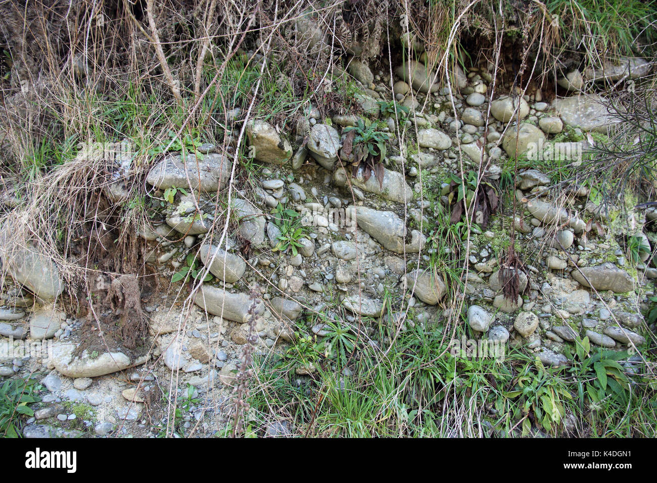 Les dépôts alluviaux de la Nouvelle-Zélande Banque D'Images