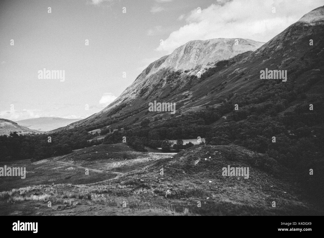 Le Ben Nevis, Ecosse Banque D'Images