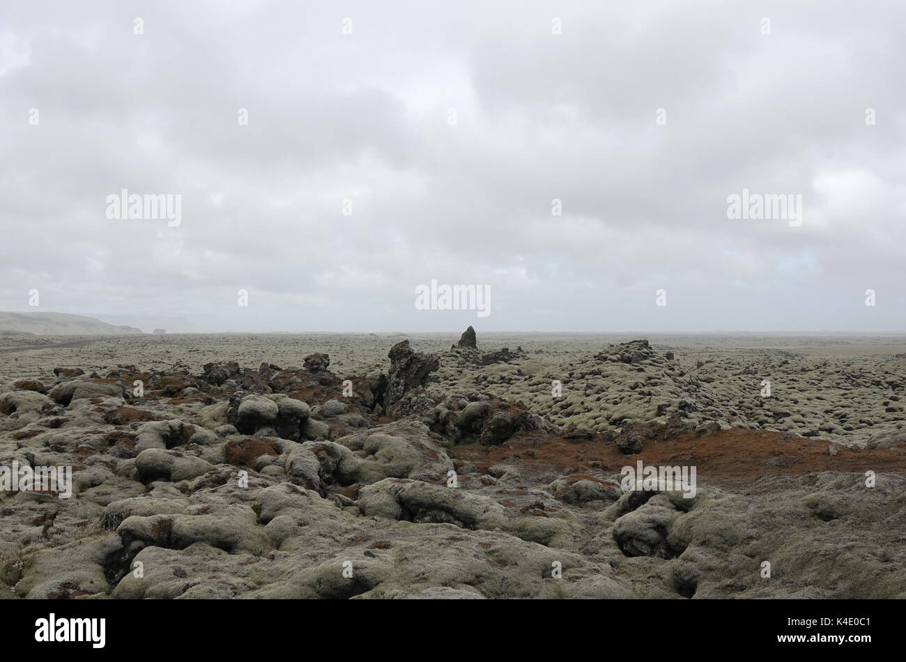 L'Islande, de pierres de lave couvertes de lichen d'Islande, du sud-est Banque D'Images