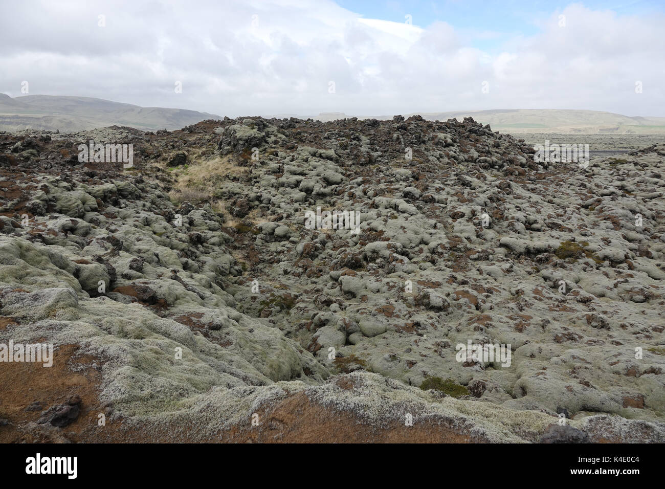 L'Islande, de pierres de lave couvertes de lichen d'Islande, du sud-est Banque D'Images