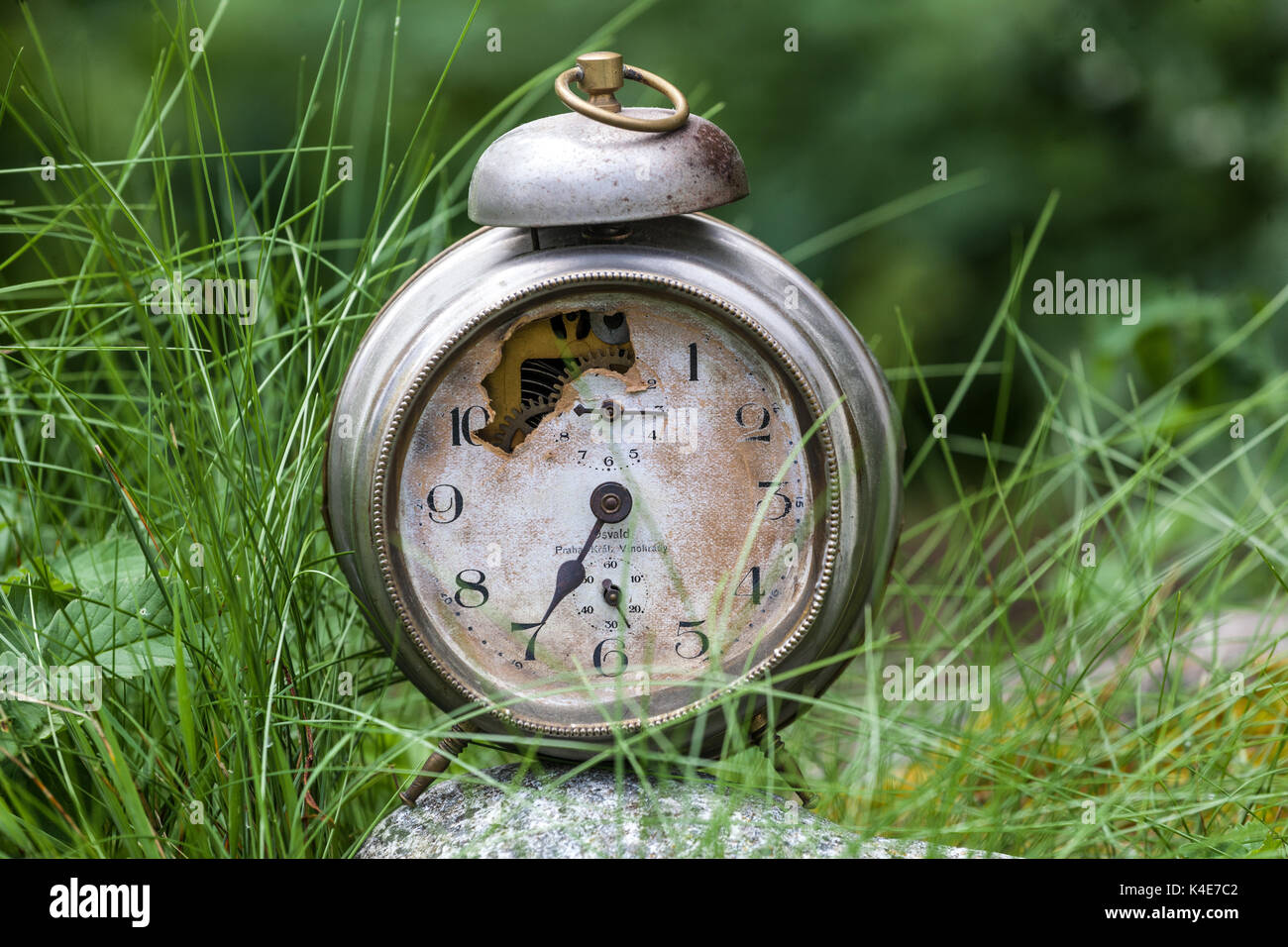 Vieux réveil dans l'herbe, pourriture, entropie, nature Banque D'Images