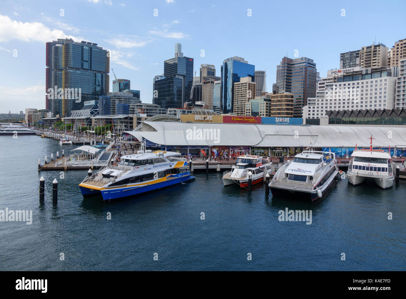 Les toits de Sydney et Sydney Aquarium Sea Life de Darling Harbour Sydney Australie Banque D'Images