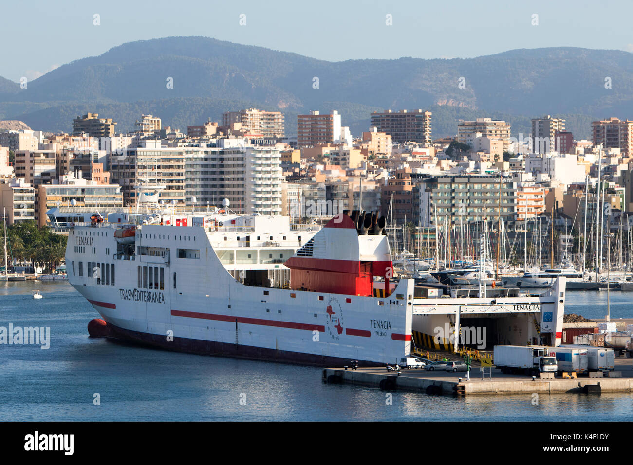 Tenacia Trasmediterranea ferry dans la baie de Palma de Majorque dans les îles Baléares en Espagne sur la côte sud de Majorque en été Banque D'Images