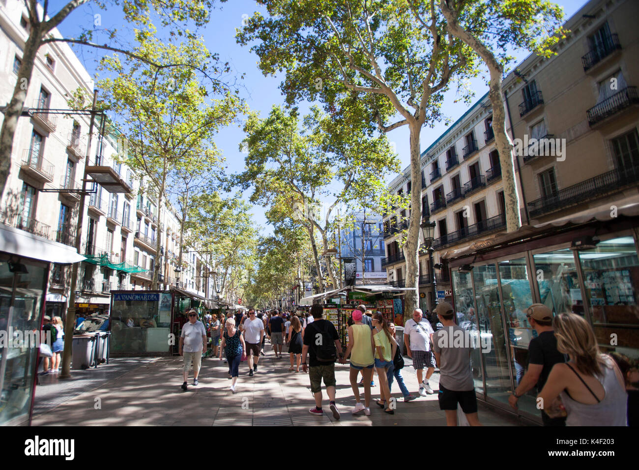 La Rambla rue touristique piétonne dans le centre de Barcelone capitale et plus grande ville de la Catalogne, en Espagne Banque D'Images