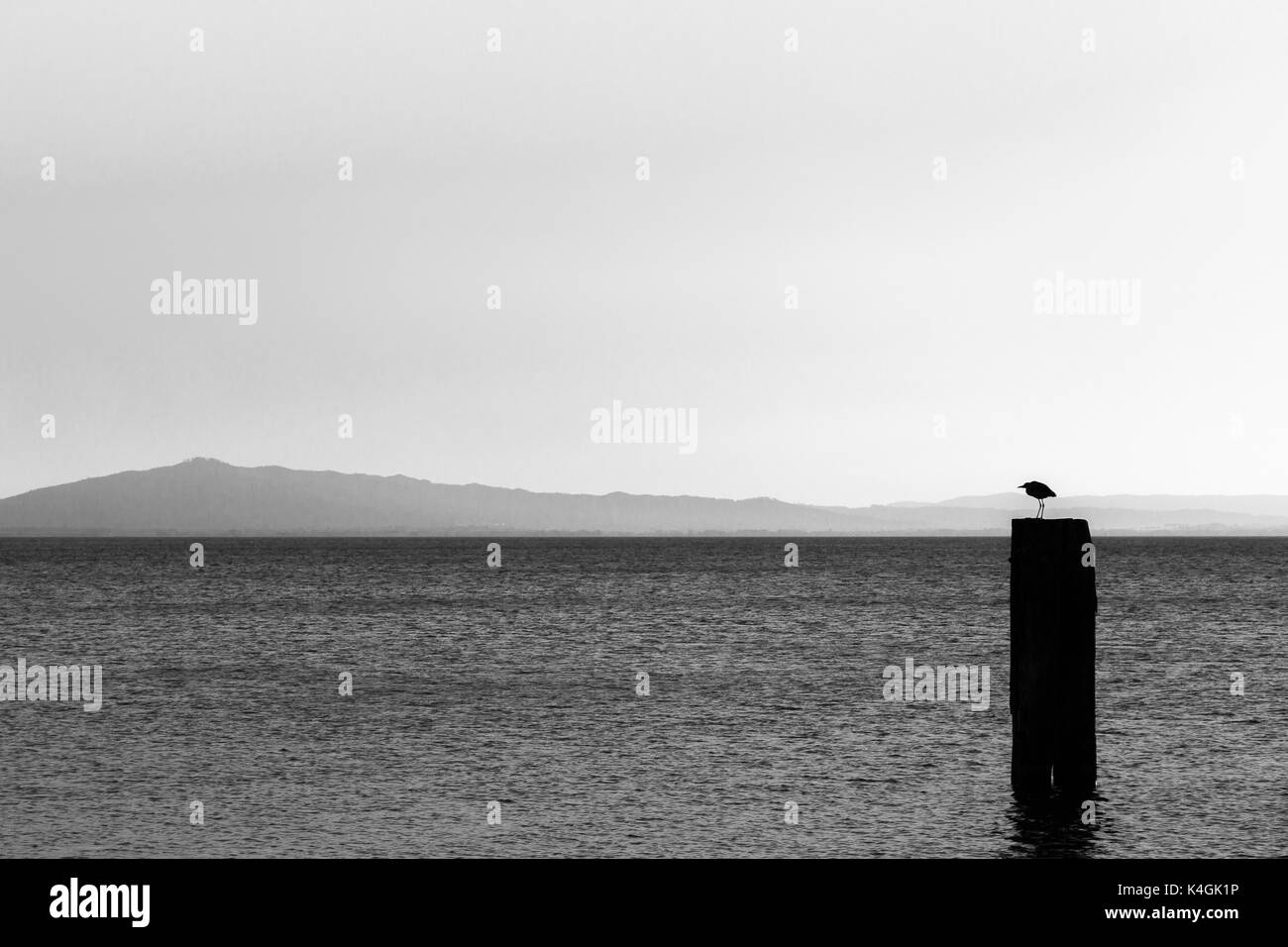 Une mouette sur un poteau sur un lac, avec des collines en arrière-plan et des tons très doux Banque D'Images