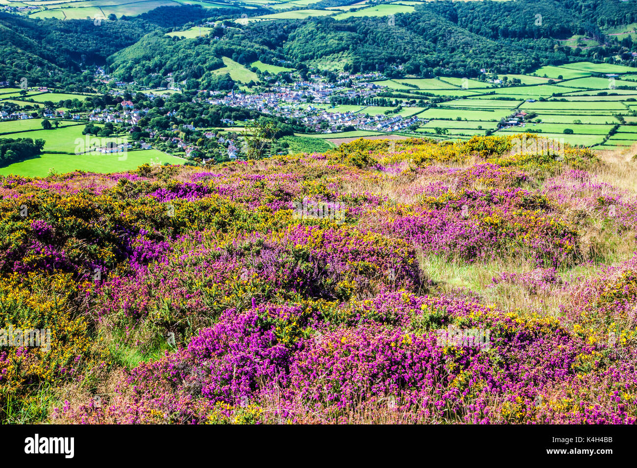 La vue sur Saint Brélade dans le Parc National d'Exmoor, Somerset. Banque D'Images
