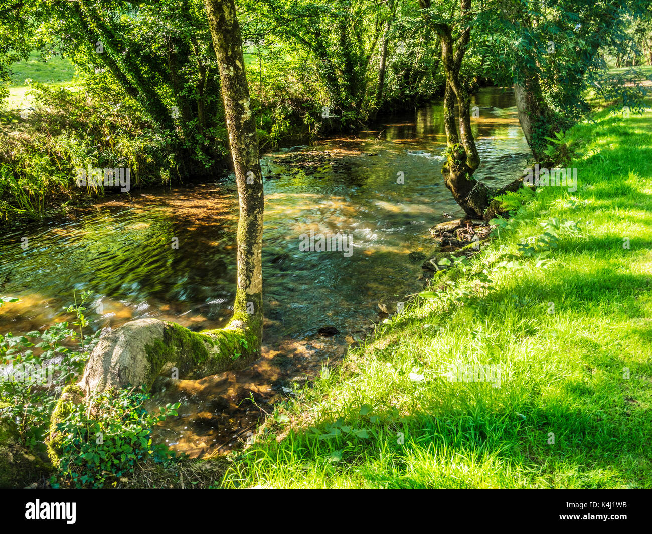 La rivière Exe dans le Parc National d'Exmoor, Somerset. Banque D'Images