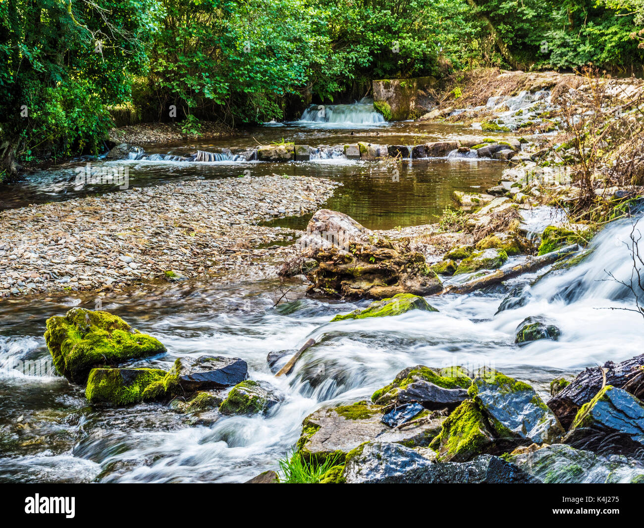 La rivière Exe dans le Parc National d'Exmoor, Somerset. Banque D'Images