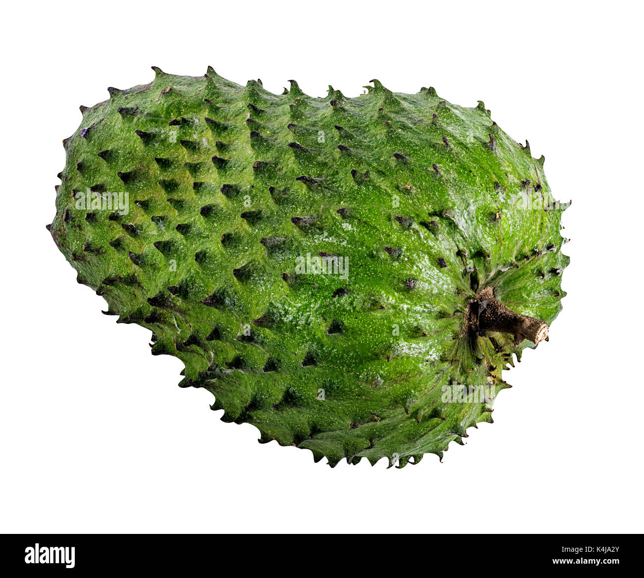 Annona muricata.corossol fruit (pomme de sucre ,l'anone ) isolé sur fond blanc Banque D'Images