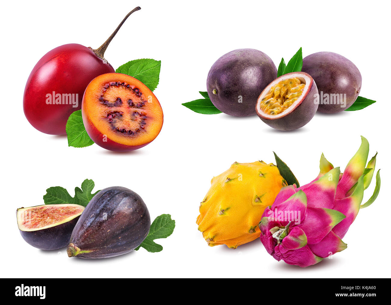 Collection de fruits exotiques isolé sur fond blanc Banque D'Images