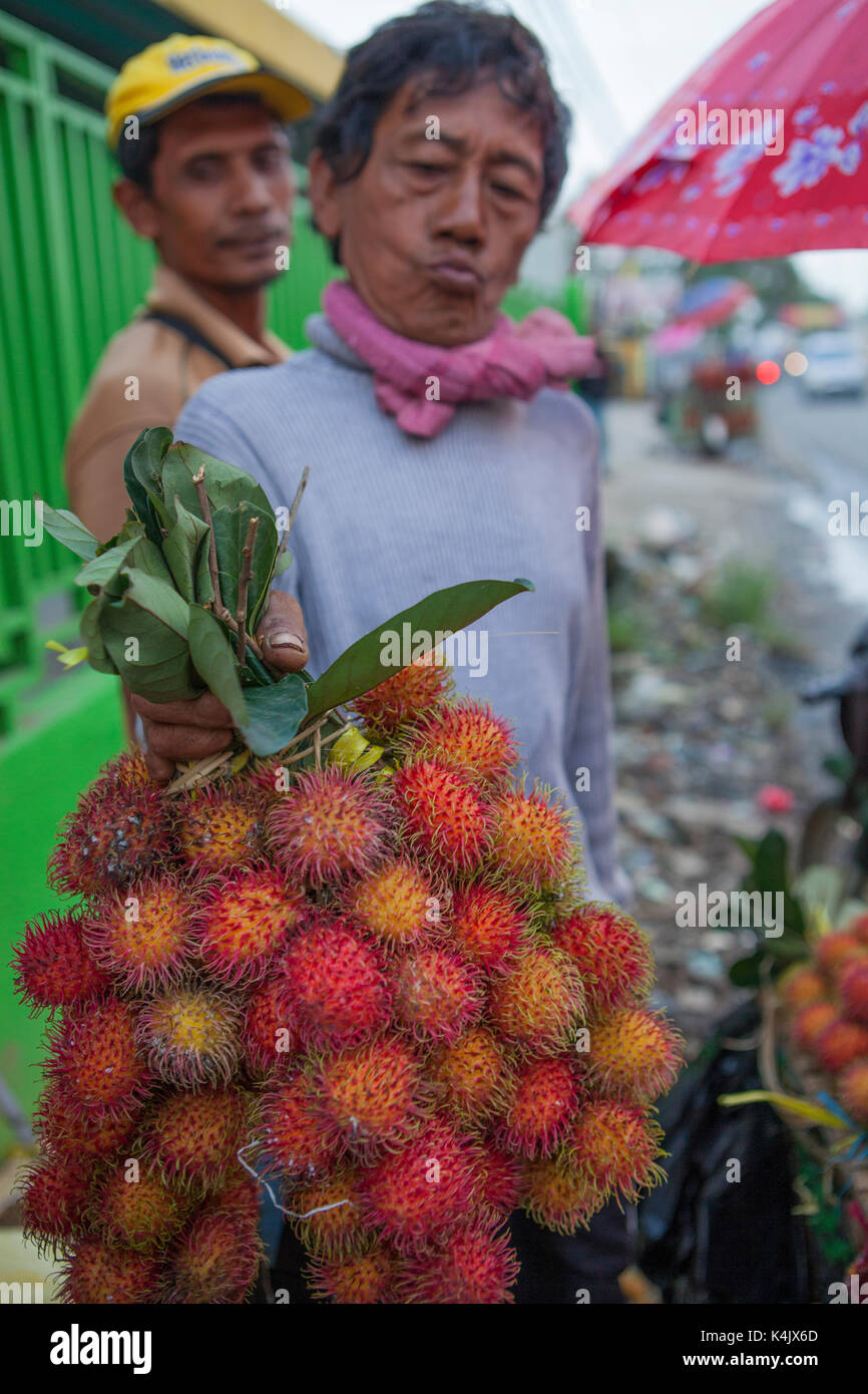 Un homme nous tend un gros bouquet de ramboutan à vendre, en Indonésie, en Asie du sud-est, l'Asie Banque D'Images