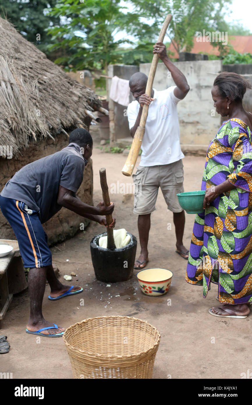Les hommes martelant le manioc dans un pot en bois avec un bâton pour faire de la farine, datcha, Togo, Afrique de l'ouest, l'Afrique Banque D'Images
