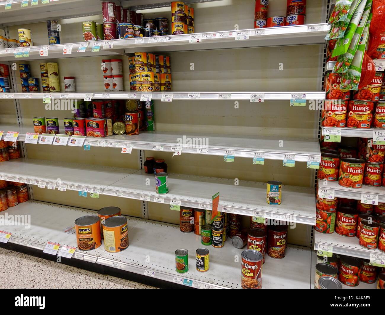 Gainesville, États-Unis, 6 septembre 2017. Les haricots en conserve ont disparu à partir de tablettes des épiceries du Nord comme les résidents de la Floride centrale à se préparer à une tempête. Credit : Cécile Marion/Alamy Live News. Banque D'Images