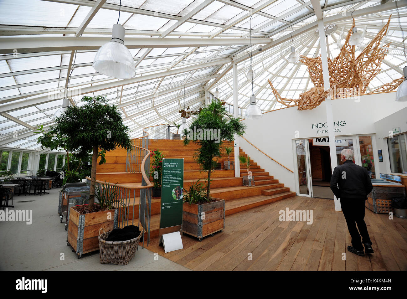 Les Serres du Jardin Botanique d'Aarhus, Danemark. Banque D'Images