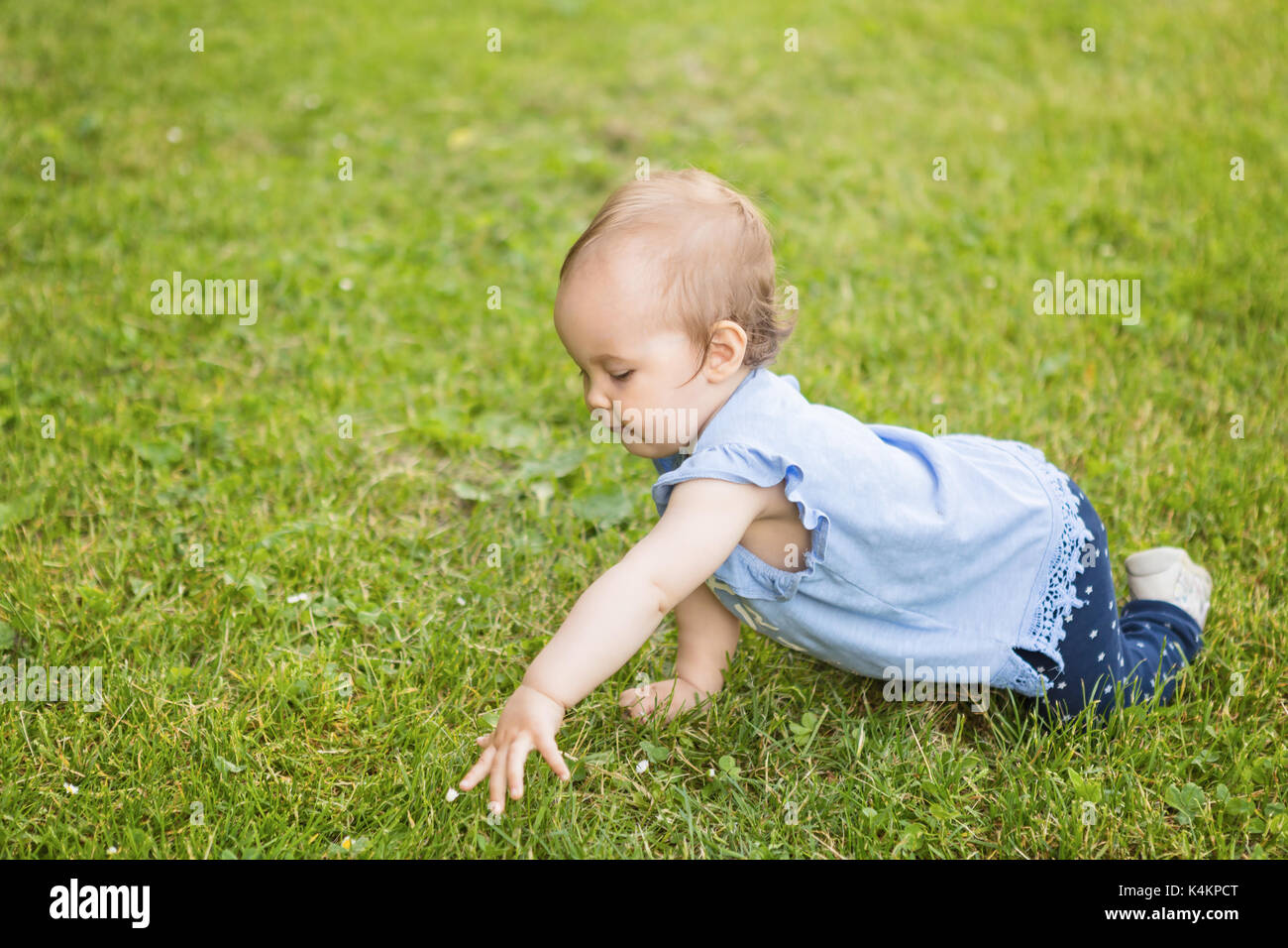 Petite fille de quatorze mois à ramper sur l'herbe dans le parc, pour atteindre pour une fleur Banque D'Images