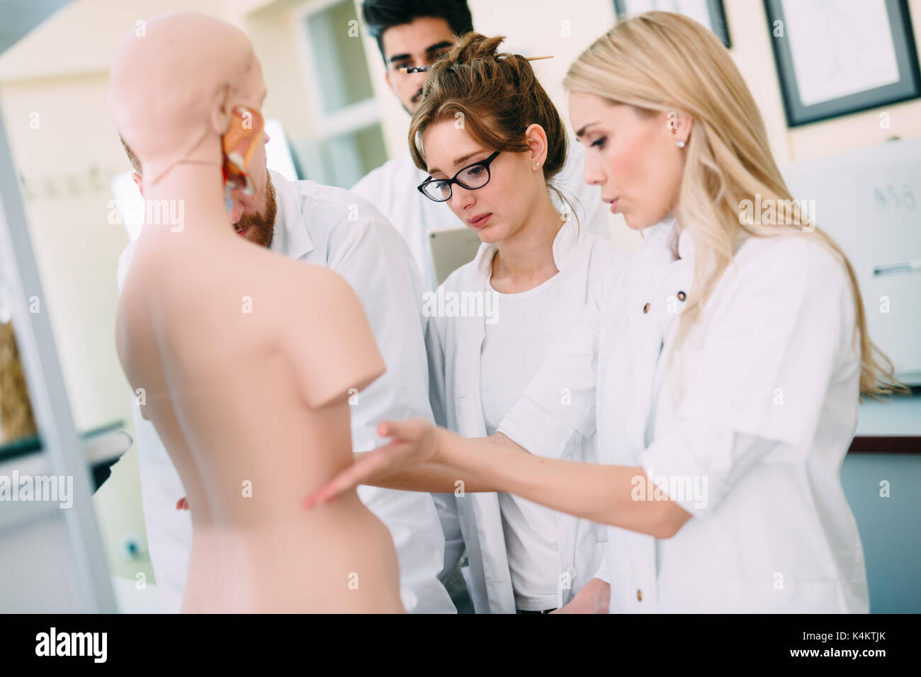 Les étudiants de médecine de l'examen de modèle anatomique en classe Banque D'Images