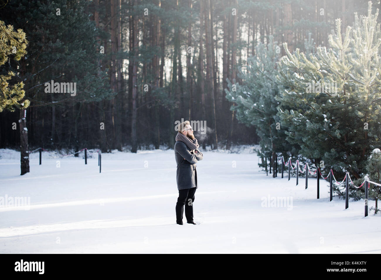 Des images grand angle d'un homme debout dans la forêt la neige Banque D'Images