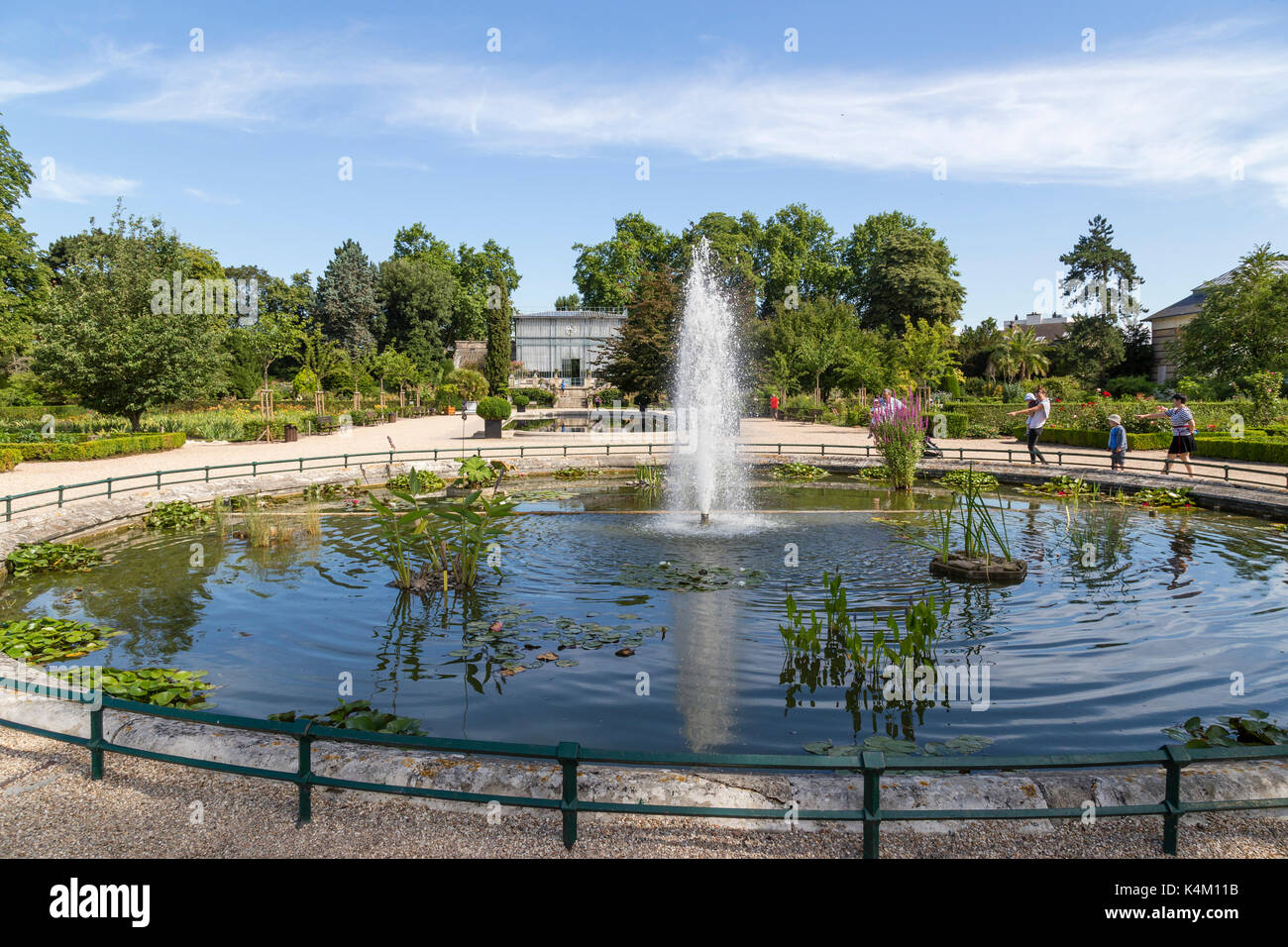 France, Seine-Maritime (76), Rouen, le jardin des plantes, la serre centrale // France, Seine-Maritime, Rouen, le jardin des plantes, le gre central Banque D'Images