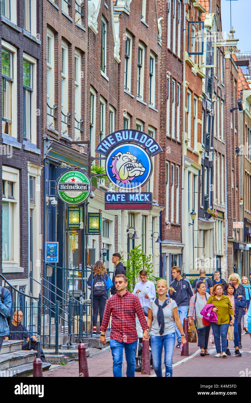 Amsterdam, Pays-Bas - 05 septembre 2017 : amsterdam bulldog coffeeshop signe de bord dans quartier rouge à Amsterdam Banque D'Images