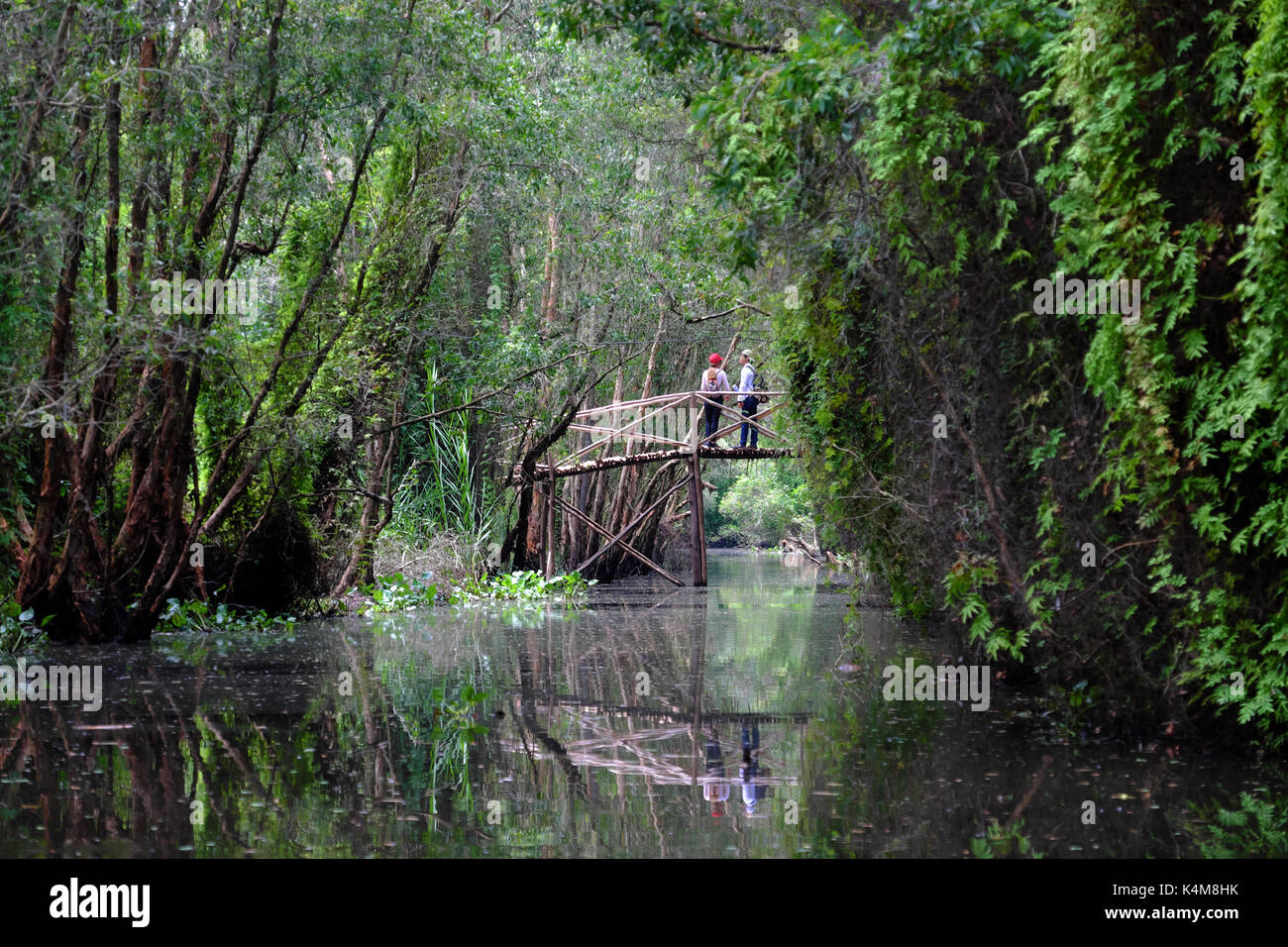 Voyageur dans l'écotourisme à tan lap zone touristique, long, Viet Nam, les gens sur le pont et réfléchir sur river entre forêt, belle destination Banque D'Images