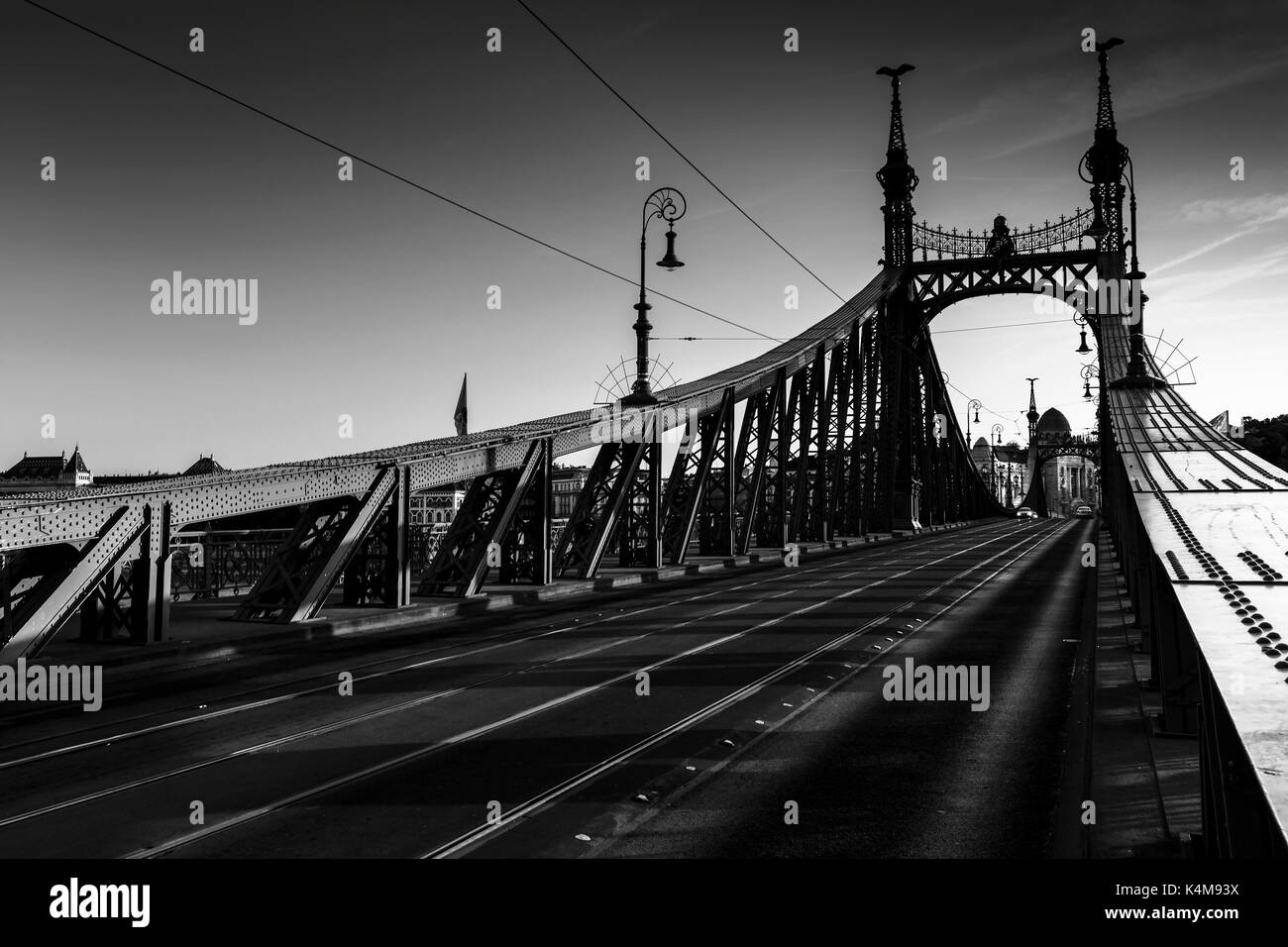 Pont de la liberté sur la rivière Danube en centre-ville de Budapest, Hongrie. Banque D'Images