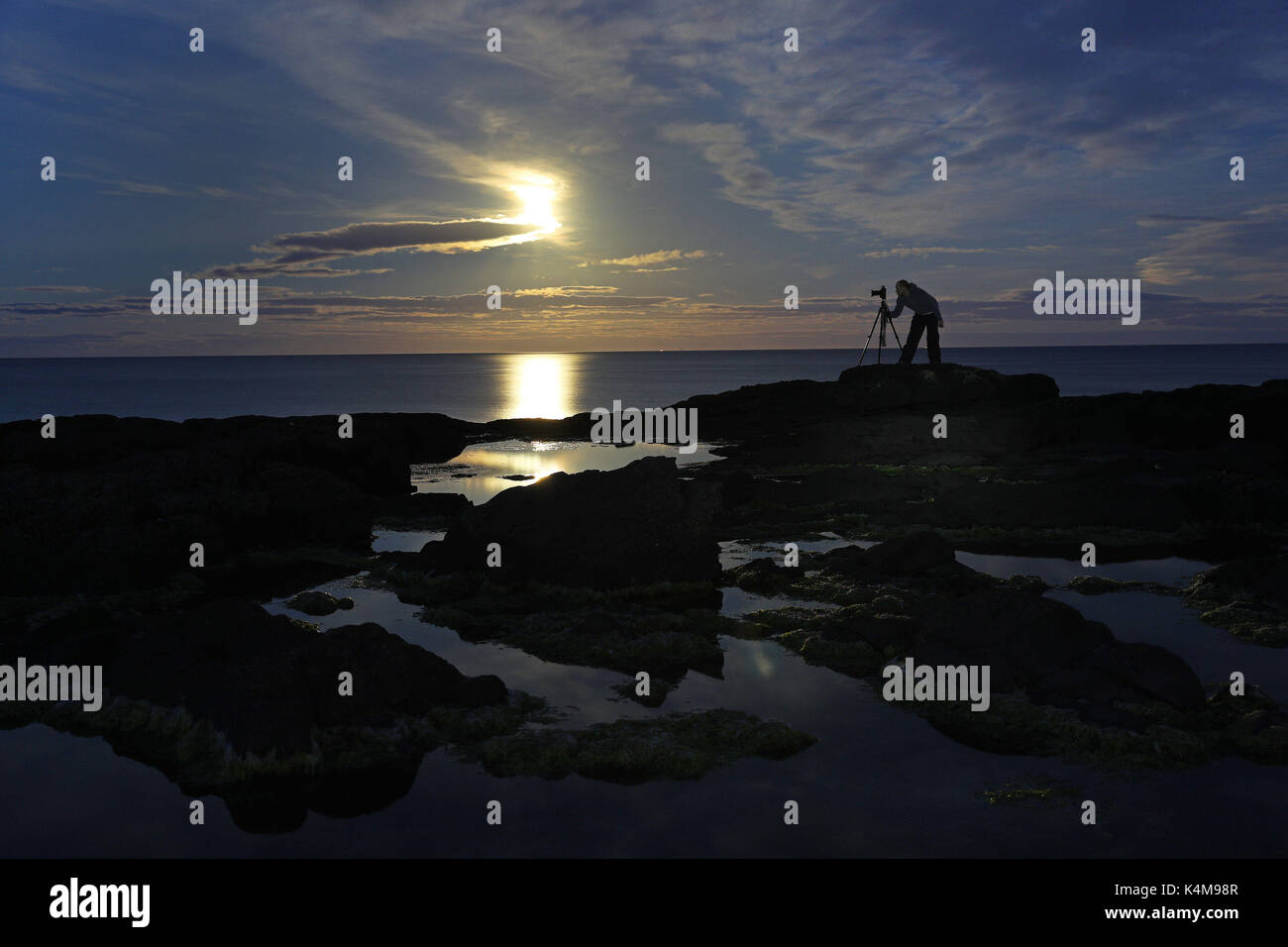 Un homme photos château de Dunstanburgh sur la côte de Northumberland sous la pleine lune du maïs. Banque D'Images