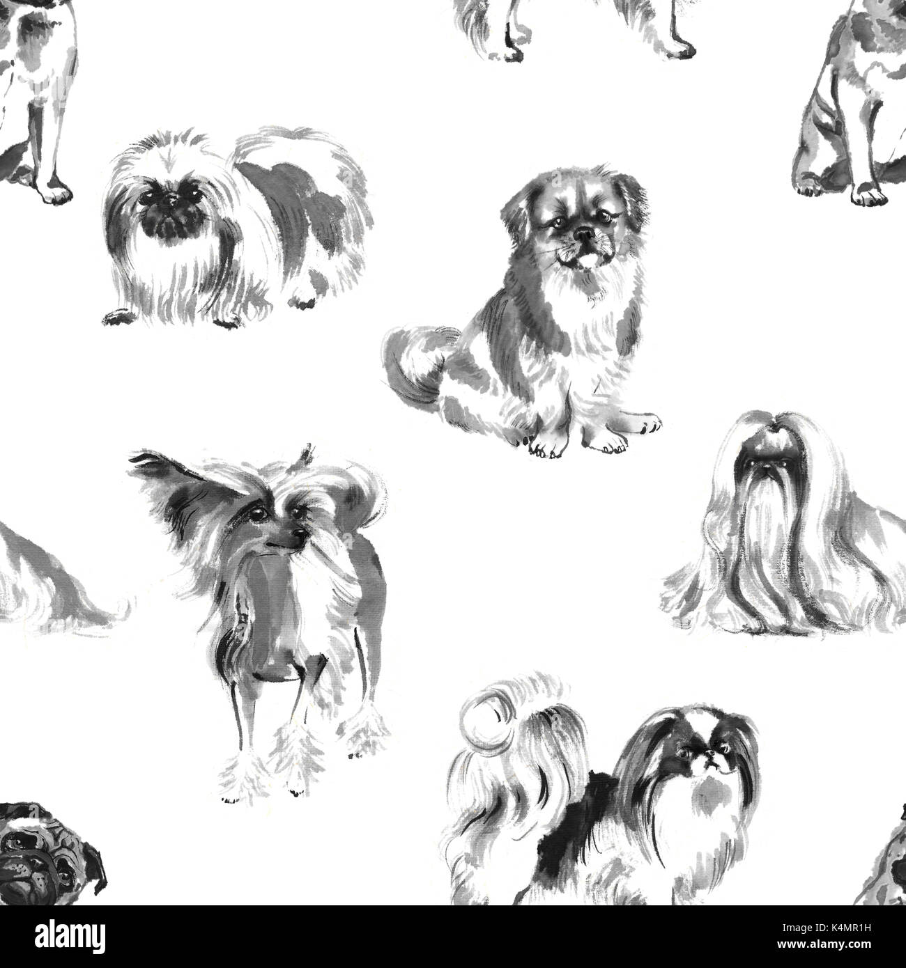 Motif transparente avec tour oriental des chiens, l'encre à la main, peinture sur fond blanc. zodiaque chinois. arrière-plan du dessin textile. Banque D'Images