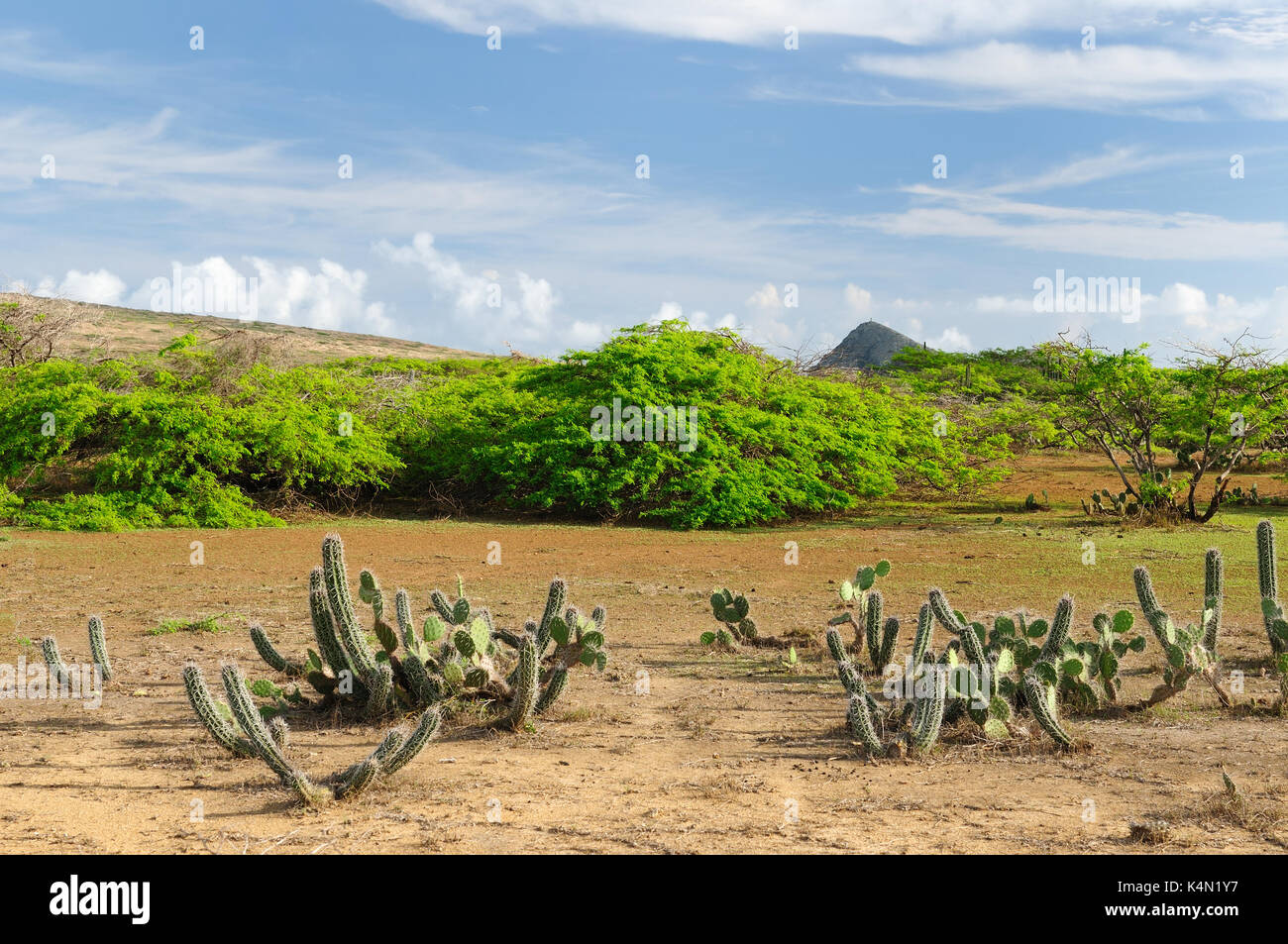 La Colombie, le désert côtier sauvage de la péninsule de Guajira près du Cabo de la Vela resort. Colombie, désert côtier sauvage de la péninsule de Guajira près du Banque D'Images