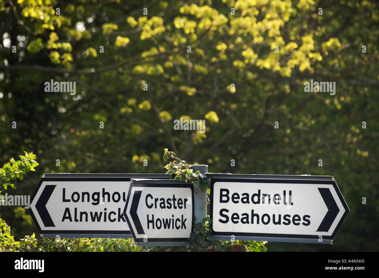 Craster, Howick, Alnwick, Beadnell, Largs, Longhoughton road sign in Embleton, Northumberland , Banque D'Images