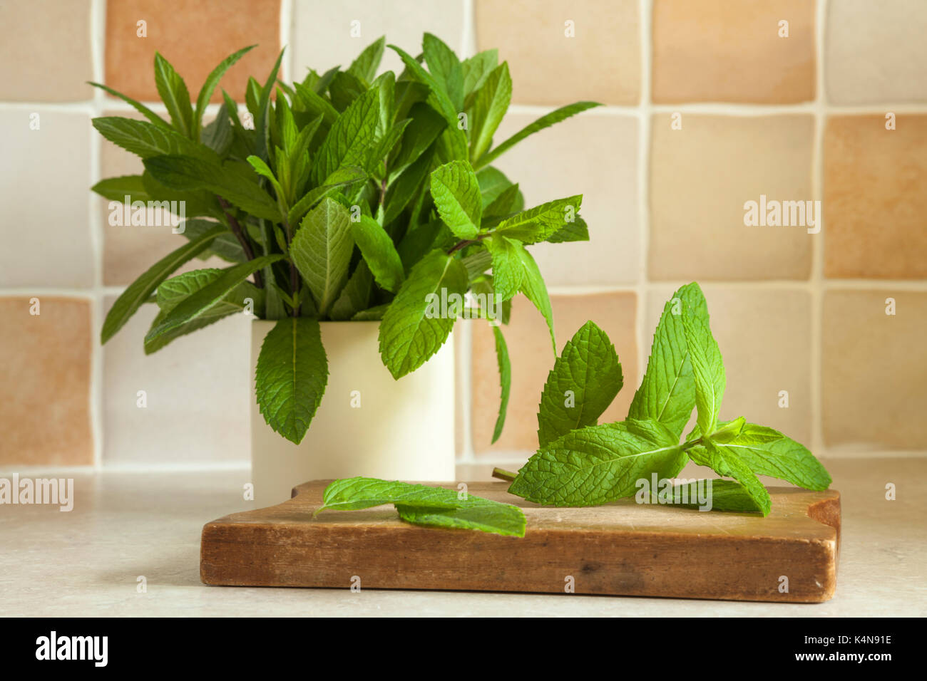 Branches de feuilles de menthe fraîches jardin dans un pot en céramique et également placé sur une petite planche en bois sur un comptoir de cuisine tourné en lumière naturelle. Banque D'Images