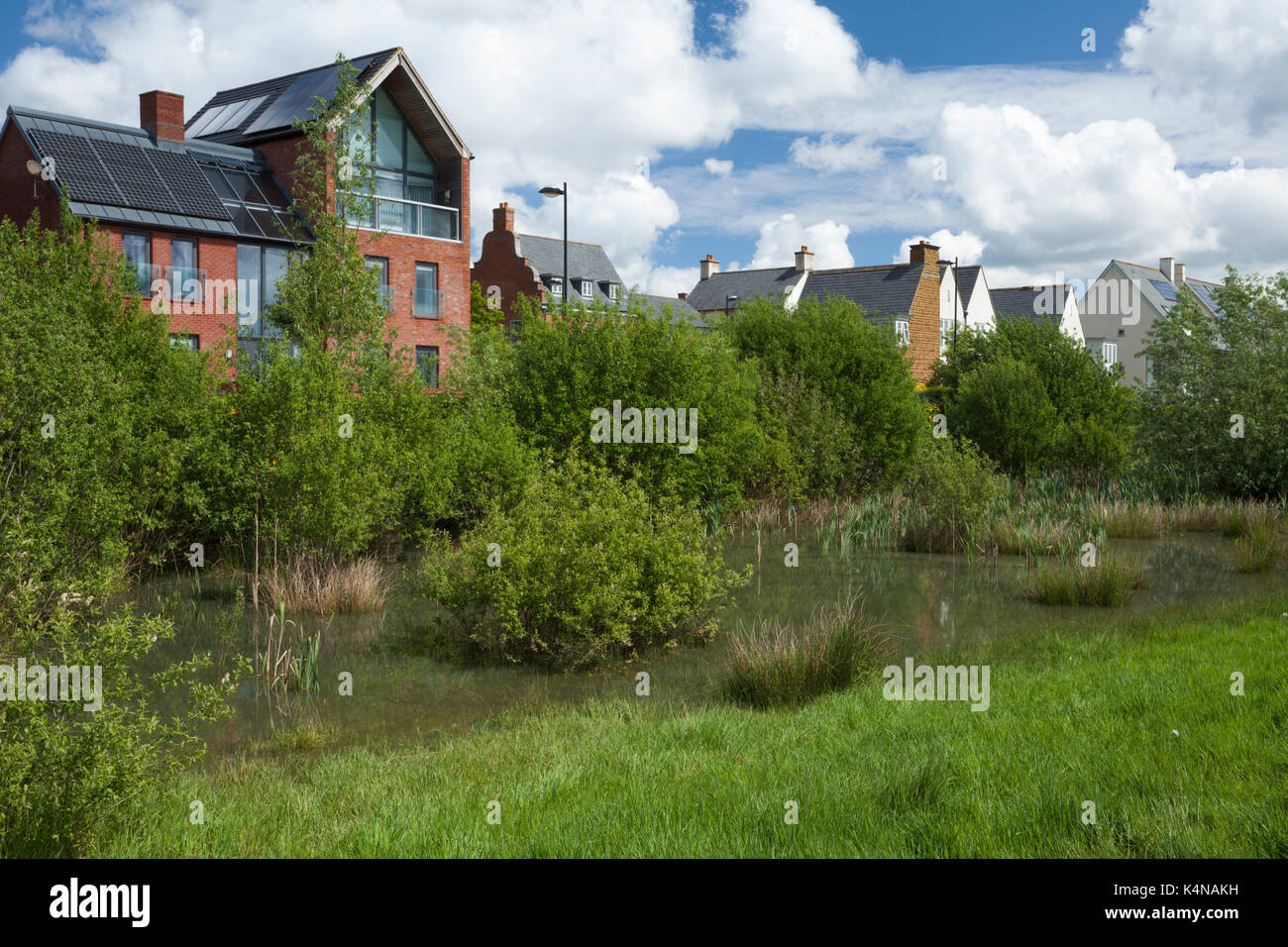 Un mélange de styles architecturaux contemporains à côté d'un parc doté de bords respectueux de la faune et des zones humides pour la capture de l'eau de pluie, Northampton, en Angleterre. Banque D'Images