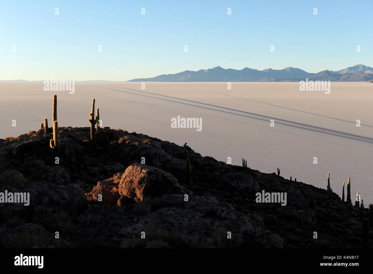 Lever du soleil sur le Salar de Uyuni de la Isla del Pescado, un éperon rocheux et montagneux de terre au milieu de la saline Banque D'Images Lever du soleil sur le Salar de Uyuni de la Isla del Pescado, un éperon rocheux et montagneux de terre au milieu de la saline Banque D'Images