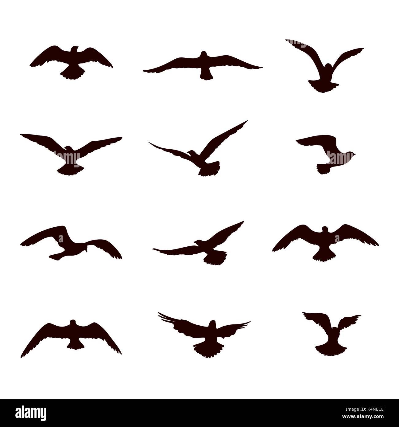 Vol Doiseaux De La Faune Silhouette Icon Collection