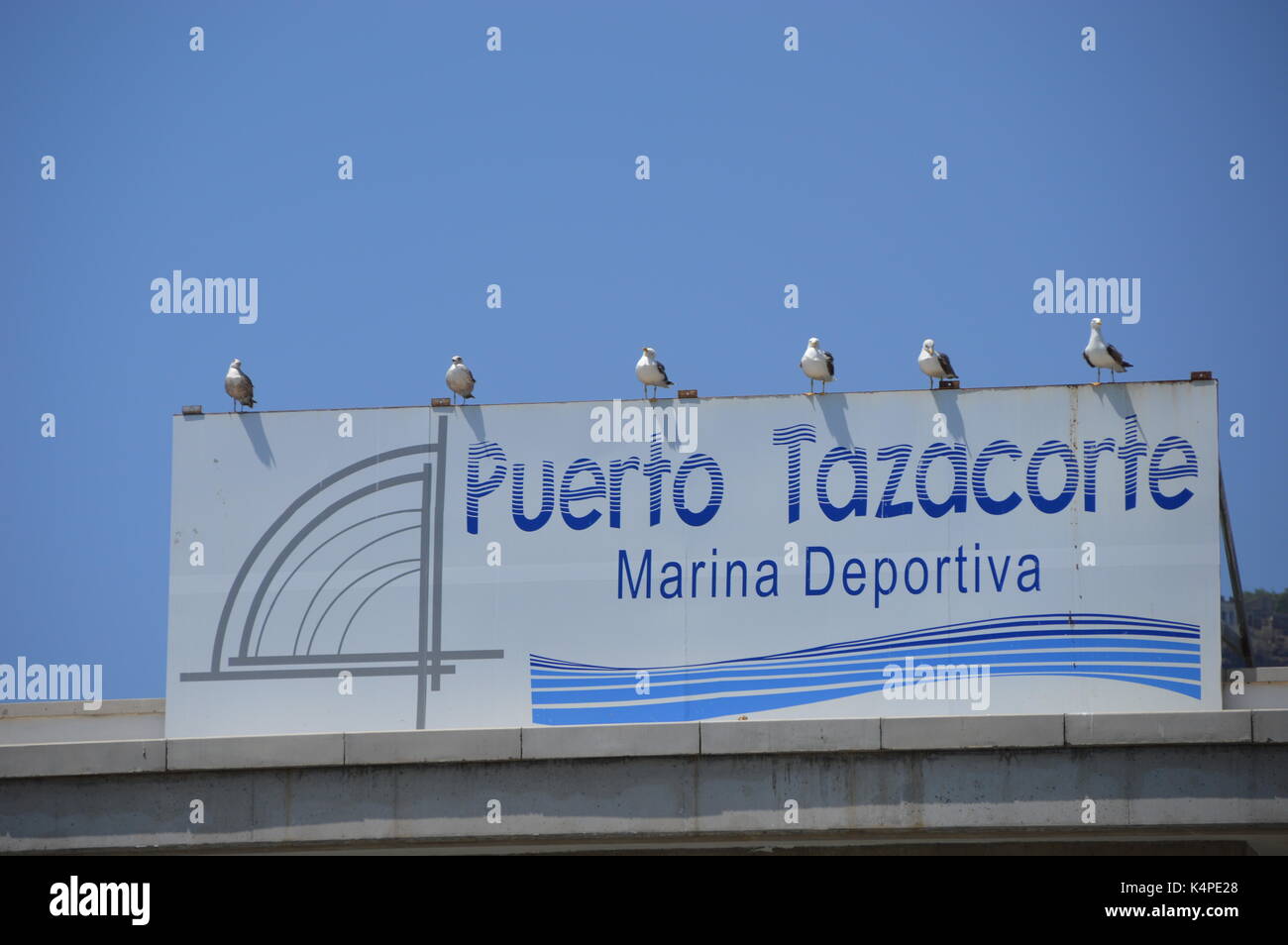 Mouettes alignées sur Puerto Tazacorte port name sign Banque D'Images