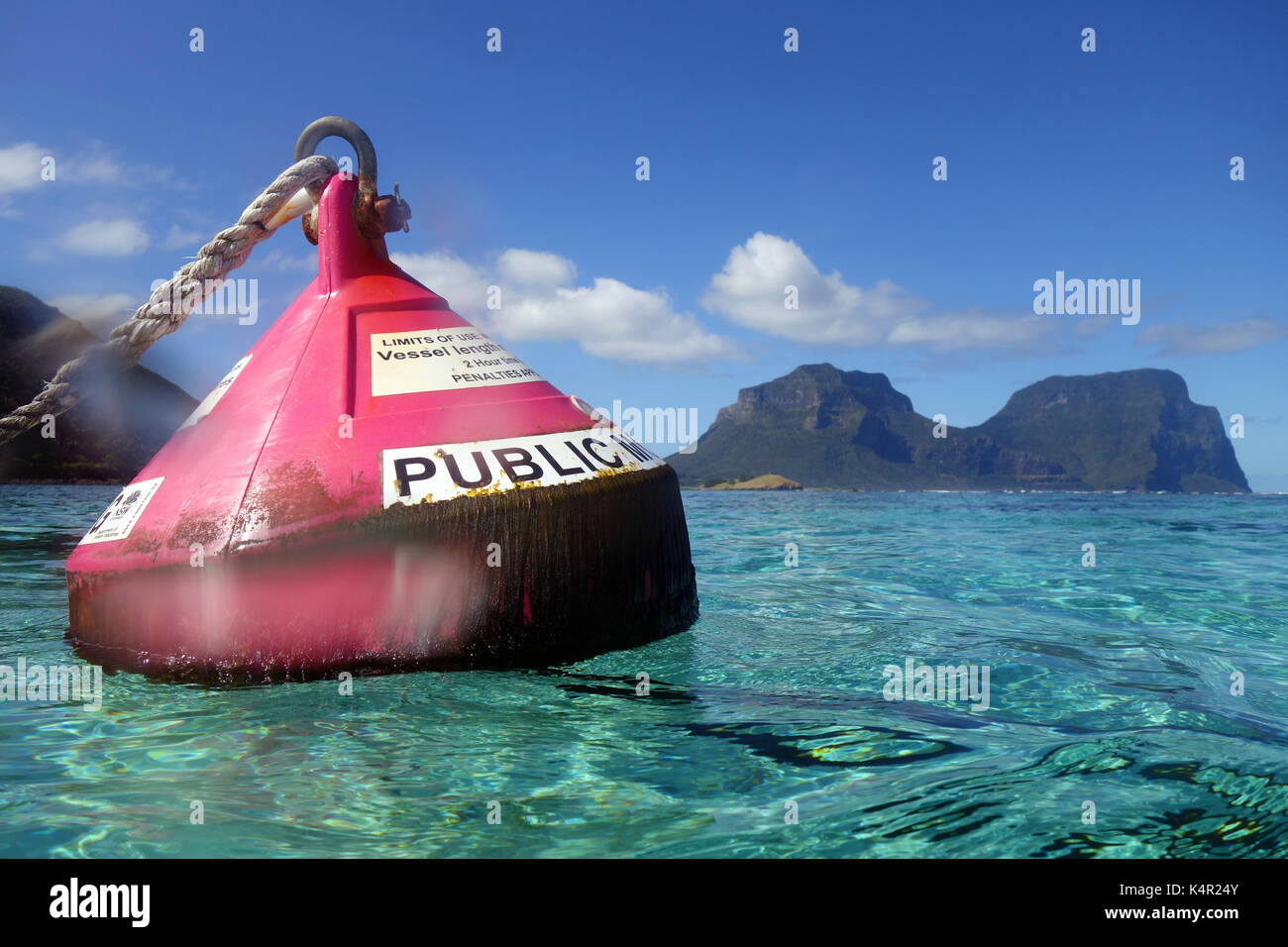 Public rose bouée d dans la zone de protection marine de la Baie du Nord, l'île Lord Howe lagoon, NSW, Australie. Pas de PR Banque D'Images