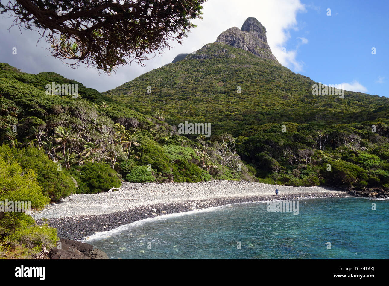 Boat Harbour Beach à distance mt lidgbird ci-dessous, l'île Lord Howe, NSW, Australie. pas de mr Banque D'Images