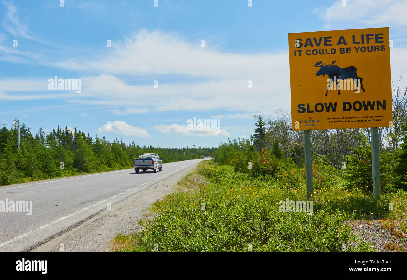 Les conducteurs d'avertissement Signe de danger d'orignaux traversant l'autoroute, Terre-Neuve, Canada Banque D'Images