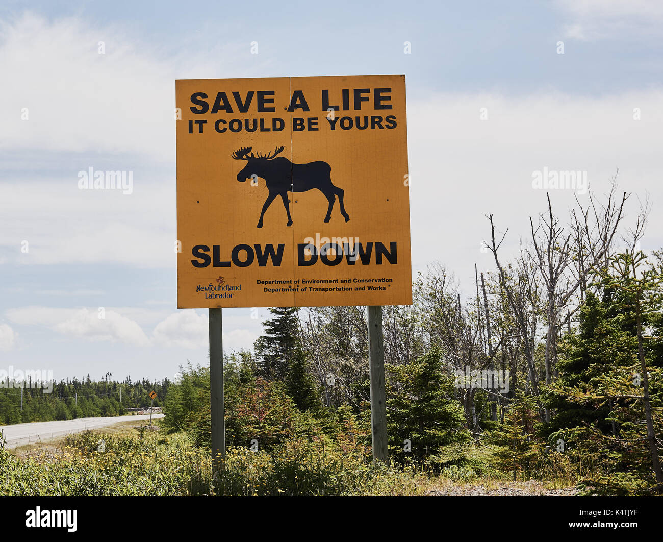 Les conducteurs d'avertissement Signe de danger d'orignaux traversant l'autoroute, Terre-Neuve, Canada Banque D'Images