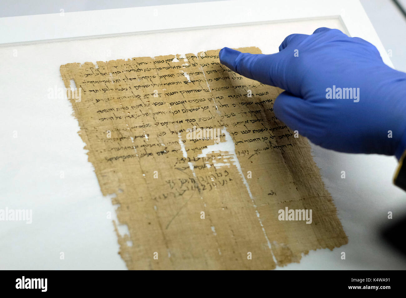 Un analyste de la conservation de l'Israel Antiquities Authority pointant sur l'Hébreu ancien écrit dans un fragment de la mer morte trouvés à Qumran des grottes à l'intérieur du laboratoire de conservation du Musée d'Israël à Jérusalem Israël Banque D'Images
