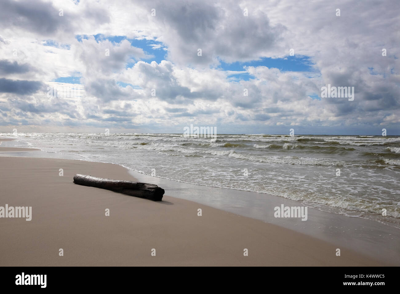 Driftwood couché dans le sable sur la plage Banque D'Images