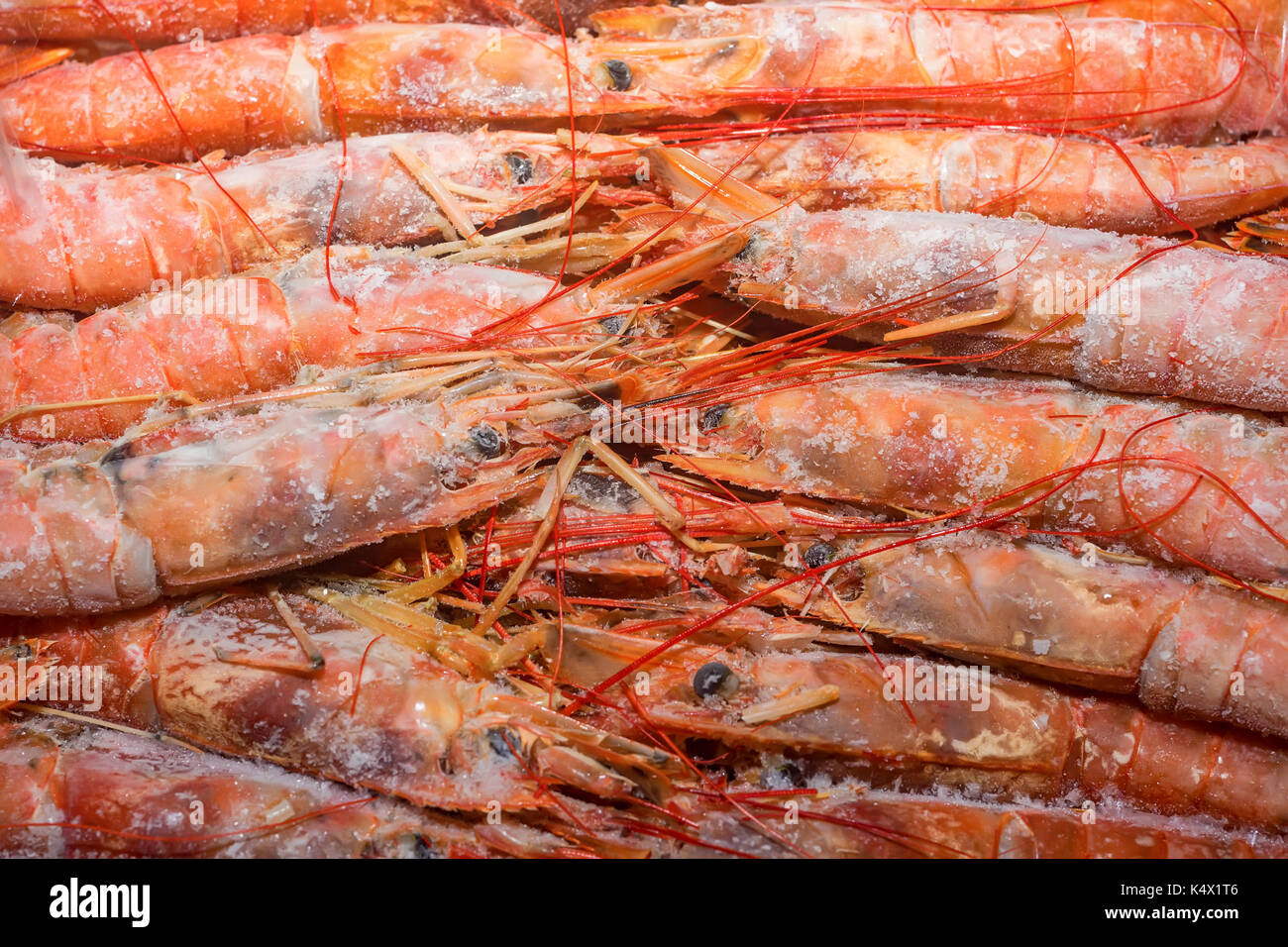 Langoustines crues congelées fraîches comme un arrière-plan Banque D'Images