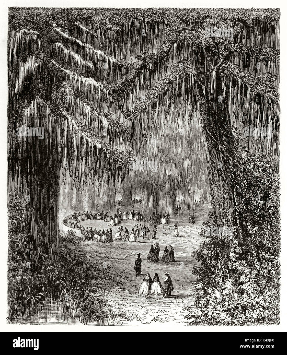 Groupe de personnes ayant peu de bon temps entre deux énormes cyprès dans une magnifique forêt. Bois de cyprès chauve Montezuma à Chapultepec Mexique. Par Riou publié sur le Tour du Monde Paris 1862 Banque D'Images