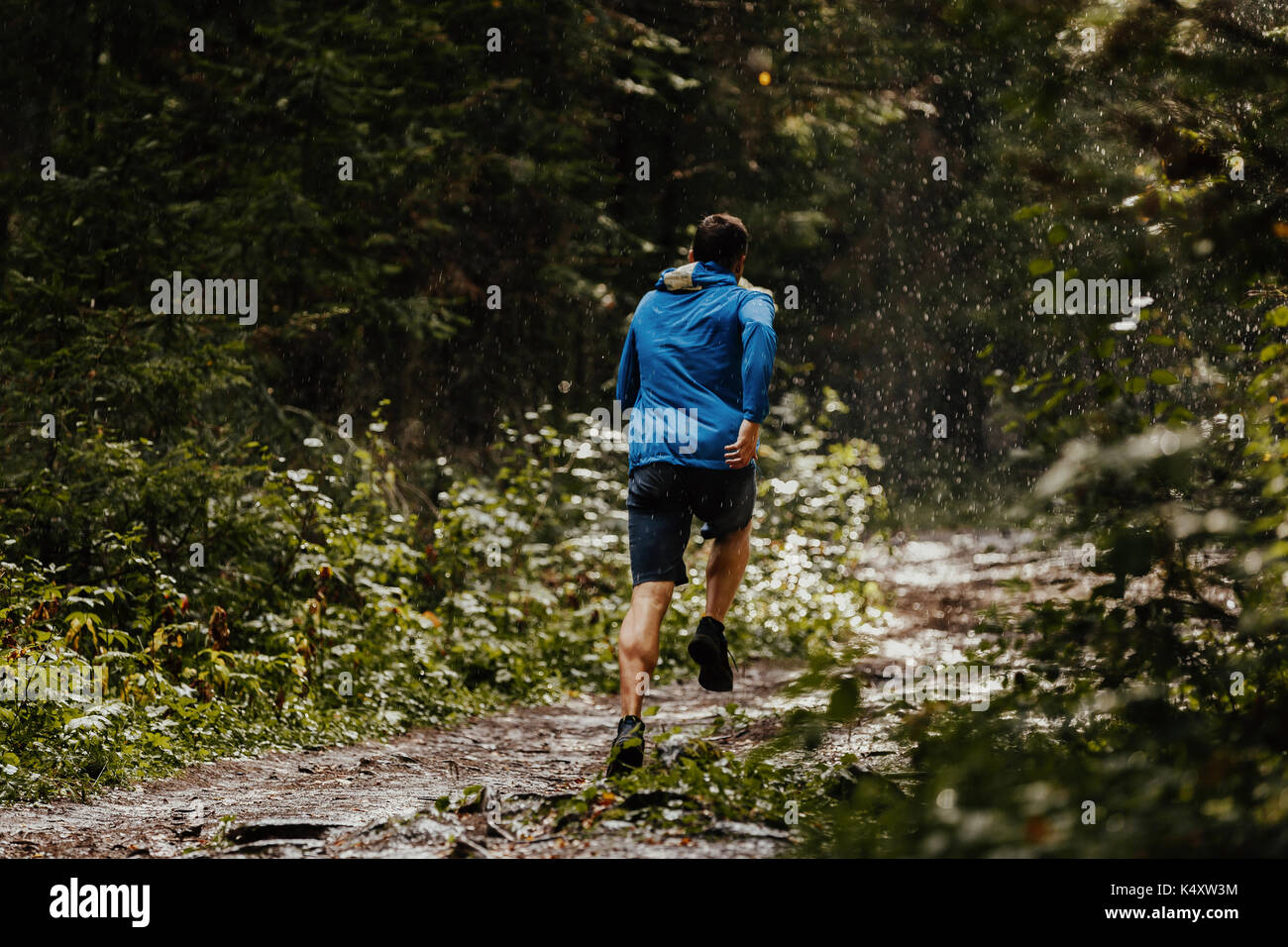 Athlète masculin runner running marathon de la forêt dans la pluie Banque D'Images