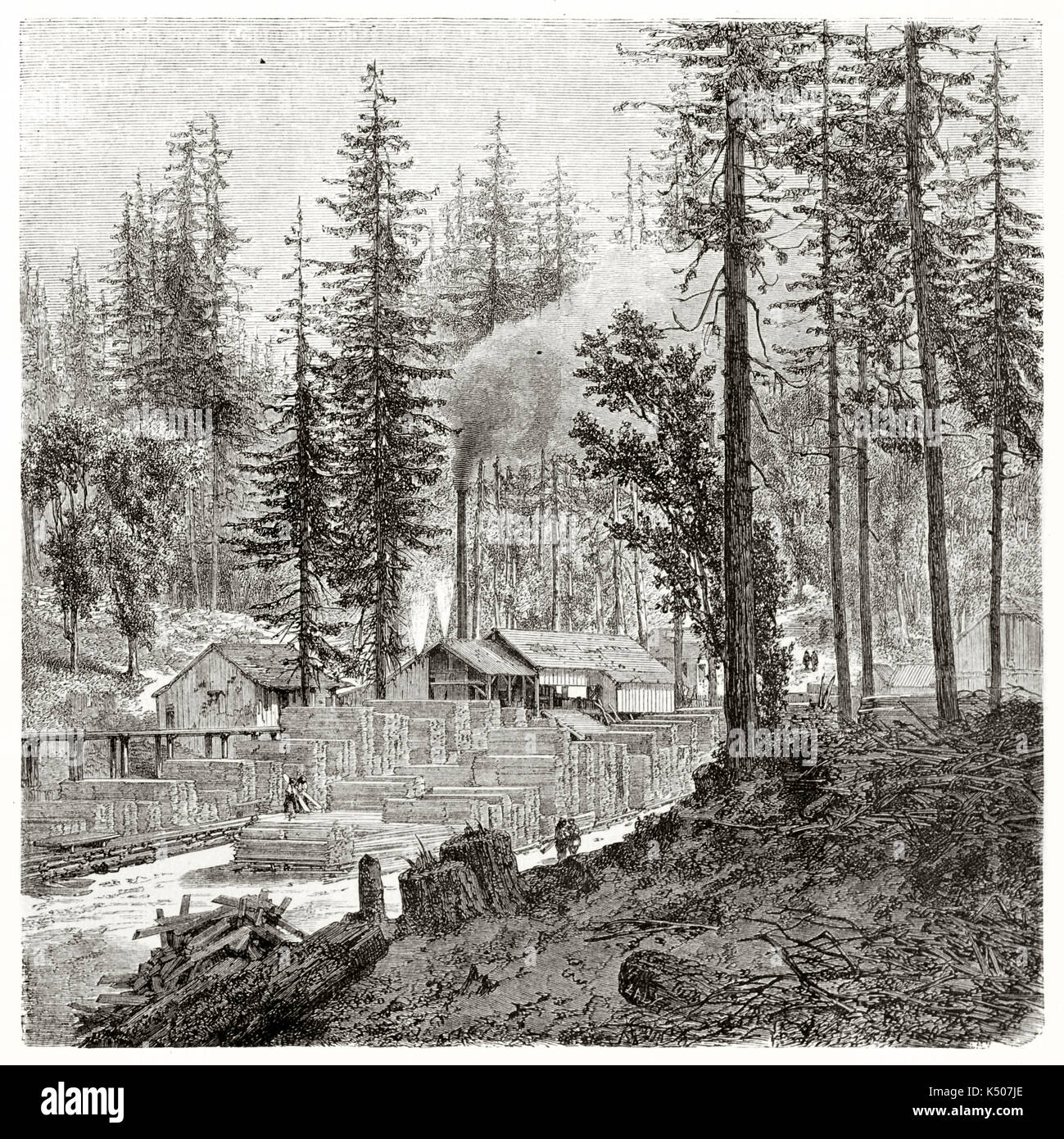 Scierie dans la forêt californienne, planches de bois empilées, cheminée fumante parmi les conifères, ouvriers visibles, orientation carrée, Paris, 1862 Banque D'Images