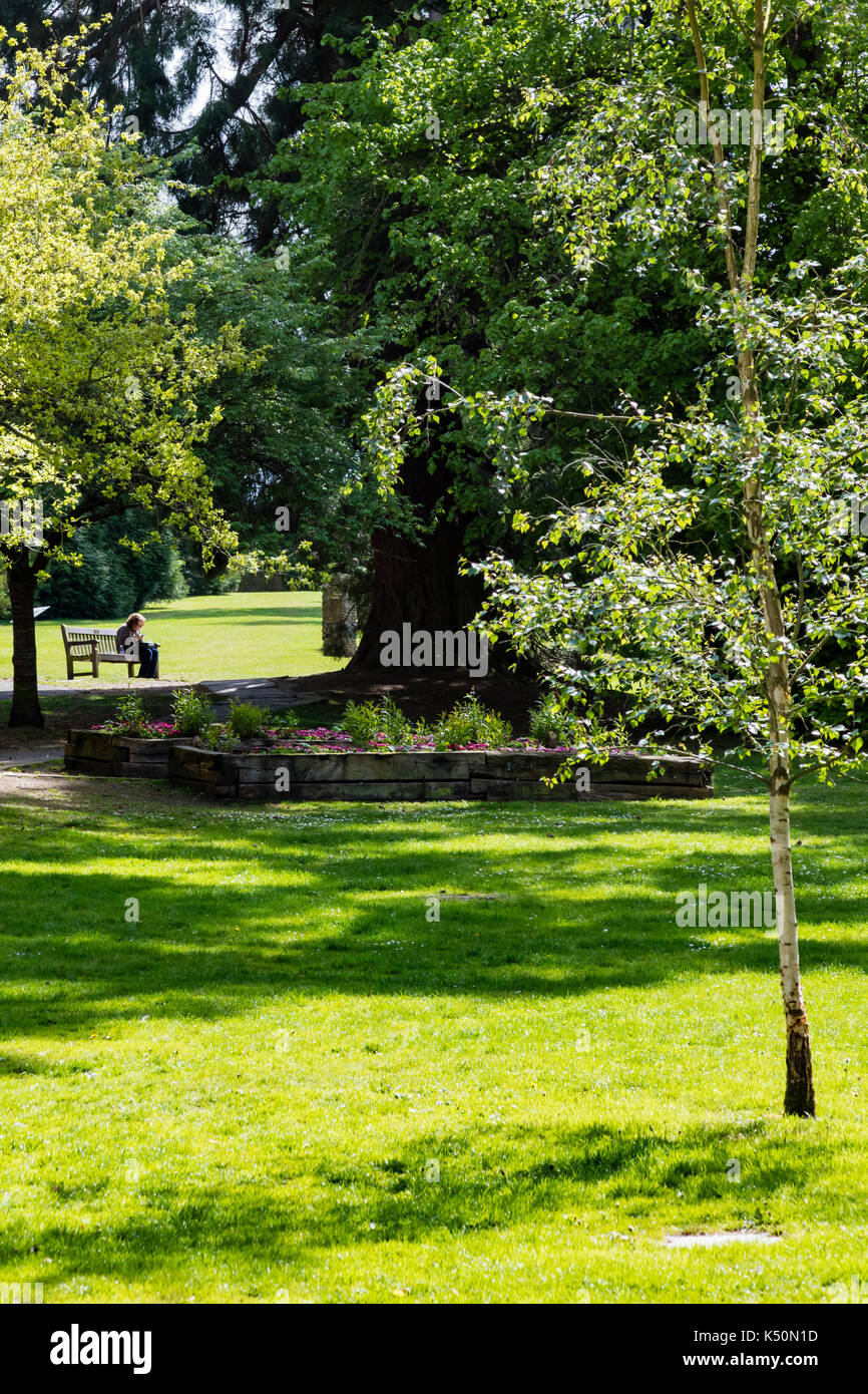 Une femme est assise seule sur un banc dans le soleil du printemps et obtient une certaine paix d'utiliser son téléphone portable, haut elms country park, bromley,uk Banque D'Images