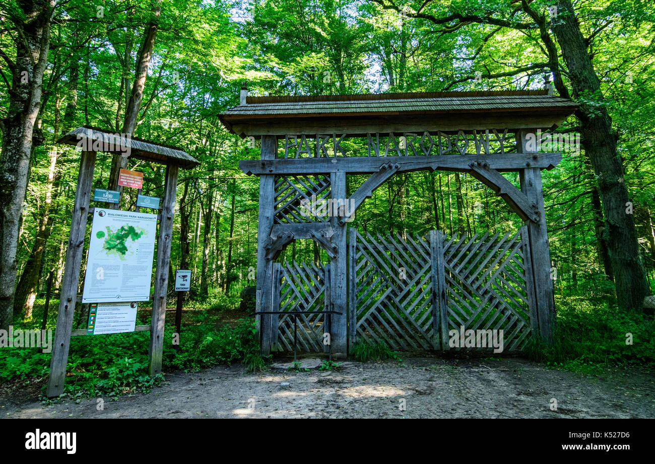 La porte d'entrée de la zone strictement protégée du parc national de Bialowieza, Pologne. Juillet, 2017. Banque D'Images