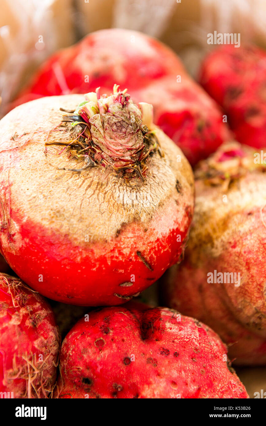 Betteraves, farmers market, à l'extérieur Banque D'Images