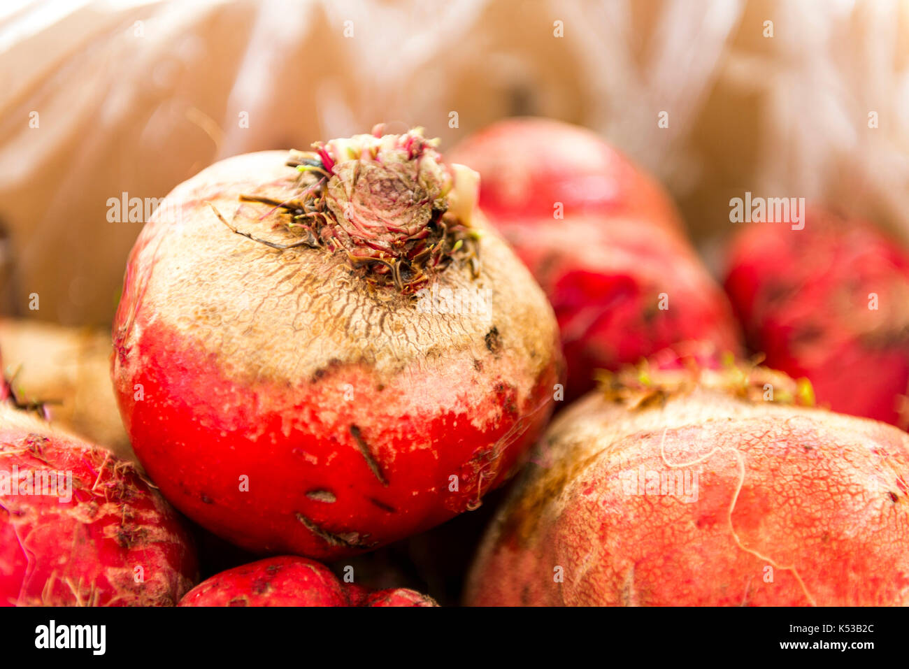 Betteraves, farmers market, à l'extérieur Banque D'Images