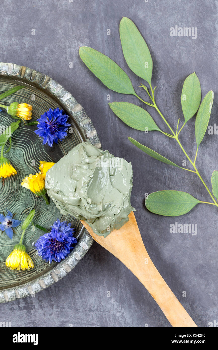 L'argile cosmétique et des fleurs et de la direction générale de l'eucalyptus, de traitements de spa, dans la boue sur la plaque de céramique cuillère en bois gris sur fond d'ardoise Banque D'Images