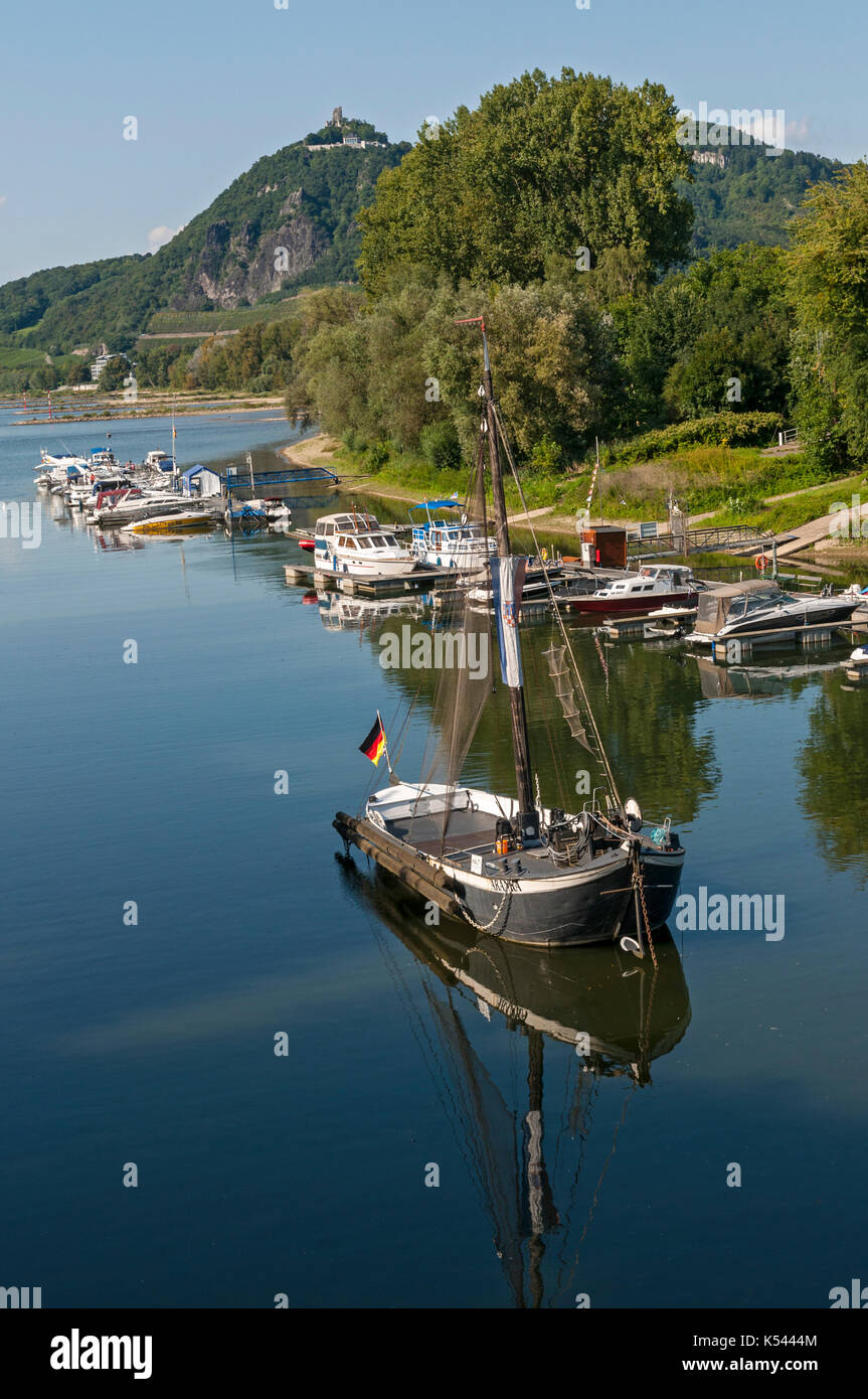 Drachenfels vu de grafenwerth Island sur le Rhin, Bad Honnef, NRW, Allemagne. Banque D'Images